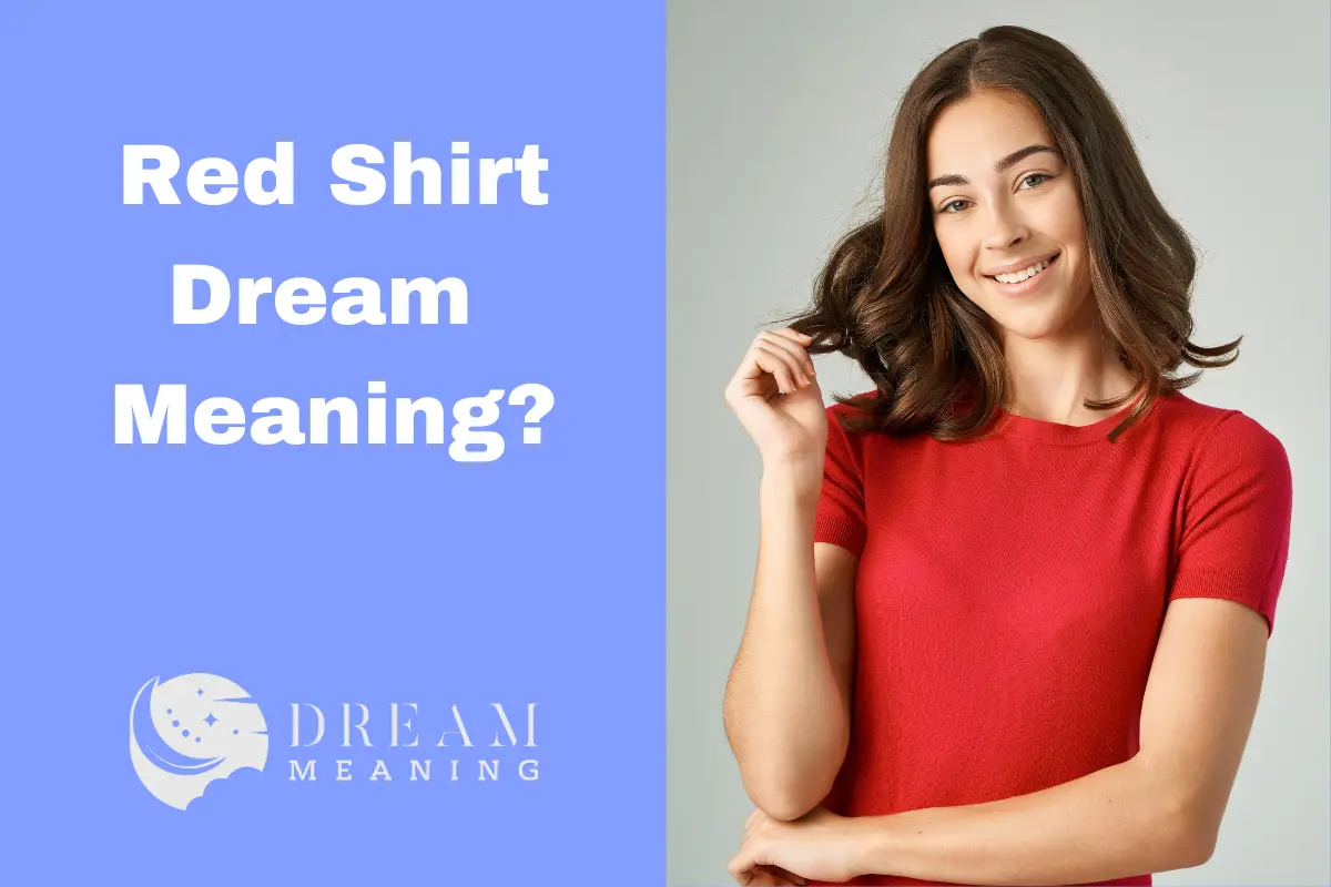 Dreaming of a Red Shirt? Here's What It Means... The Dream Meaning