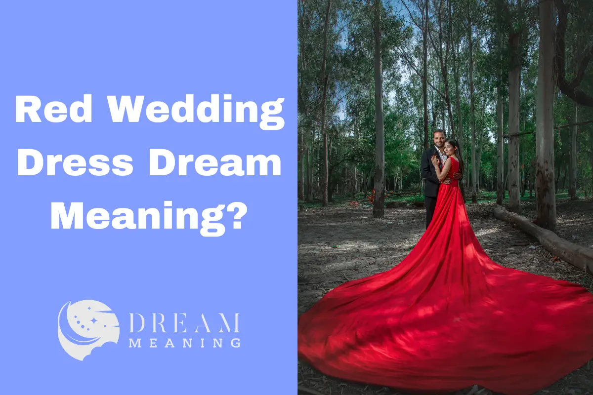 dreaming-of-a-red-wedding-dress-the-meaning-behind-it-the-dream-meaning