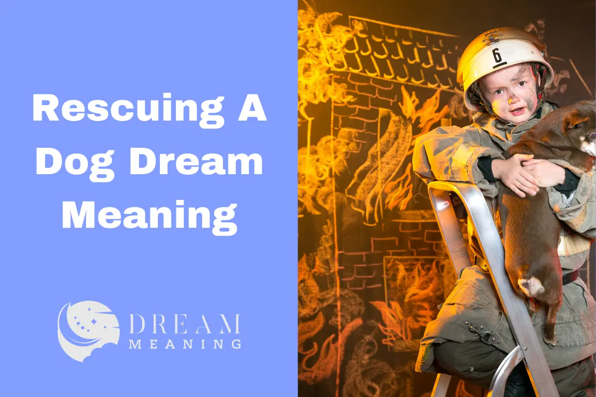 Dream Interpretation: What Does It Mean When You Rescue A Dog In Your