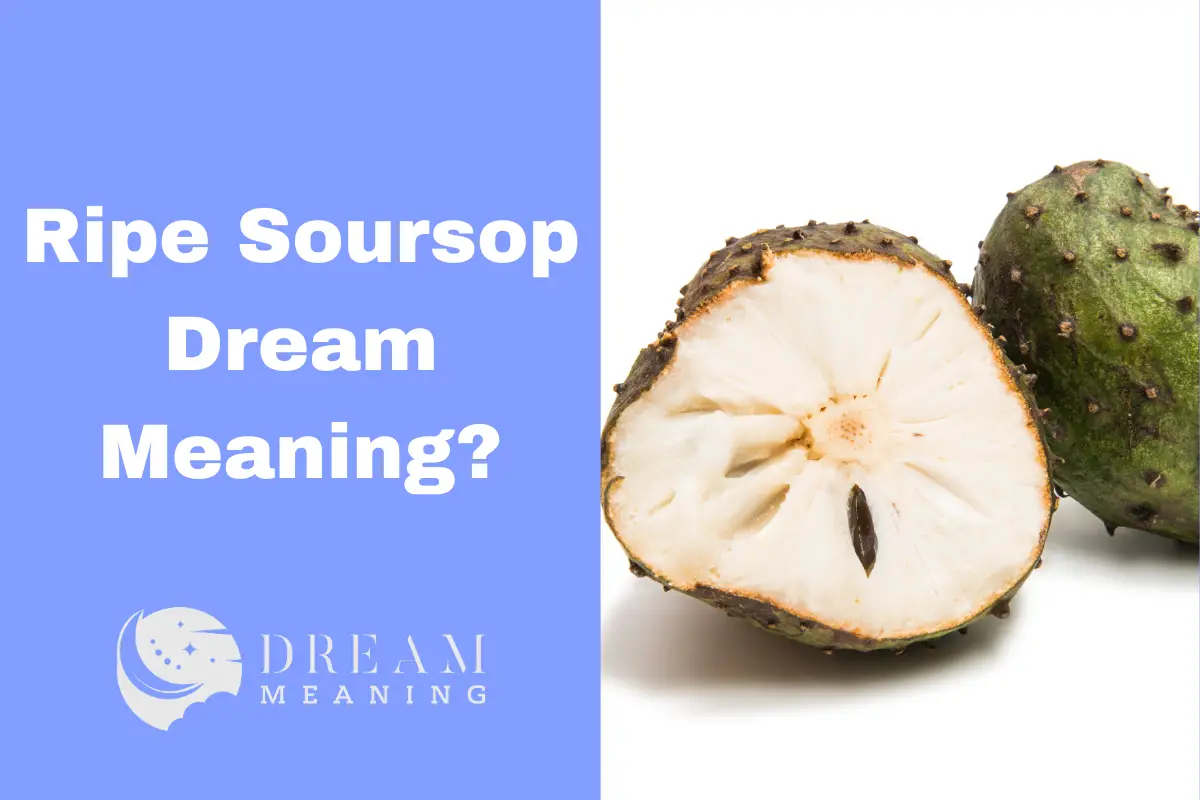 Dreaming About Ripe Soursop? Here's What It Really Means... - The Dream ...