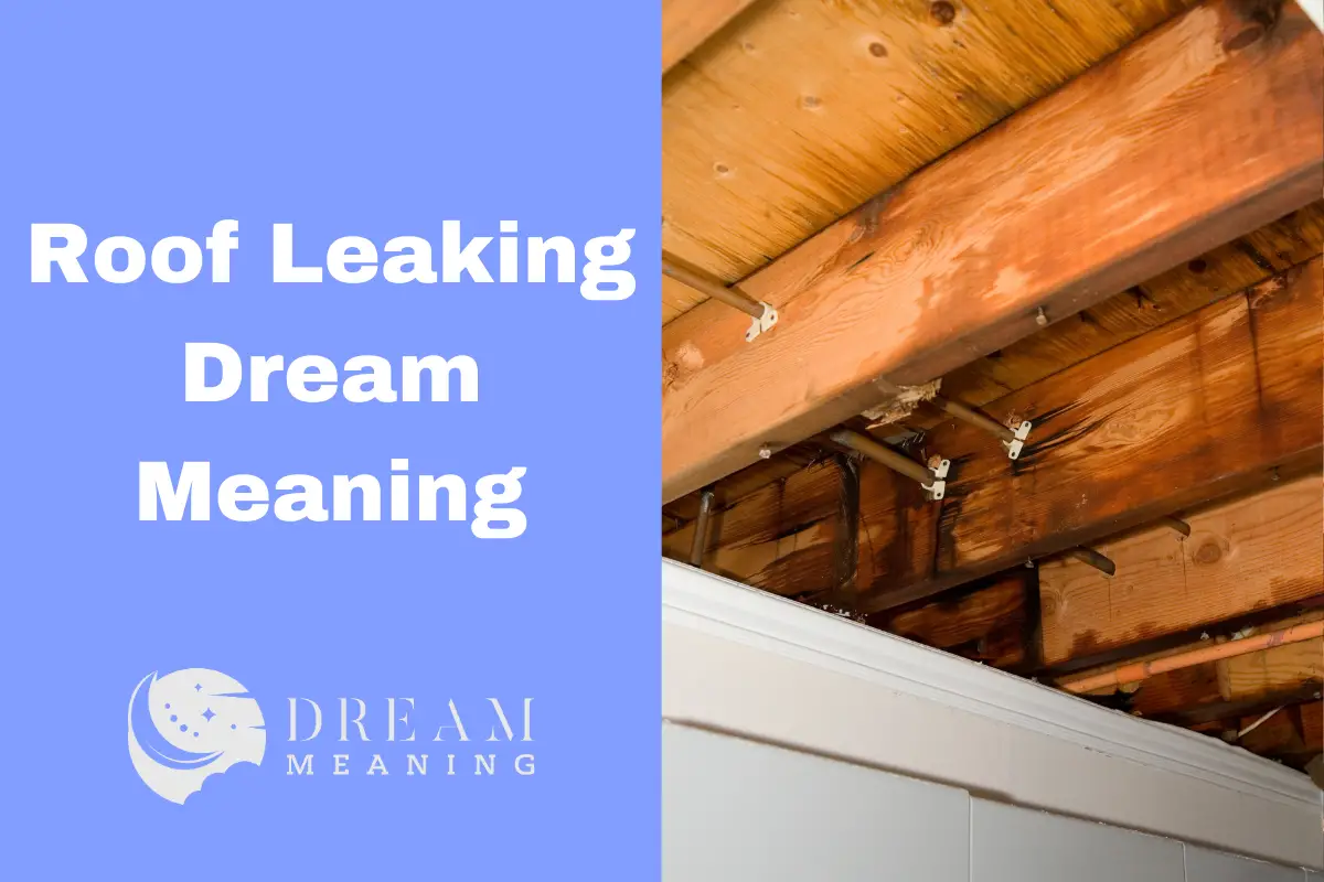 Roof Leaking Dream Meaning