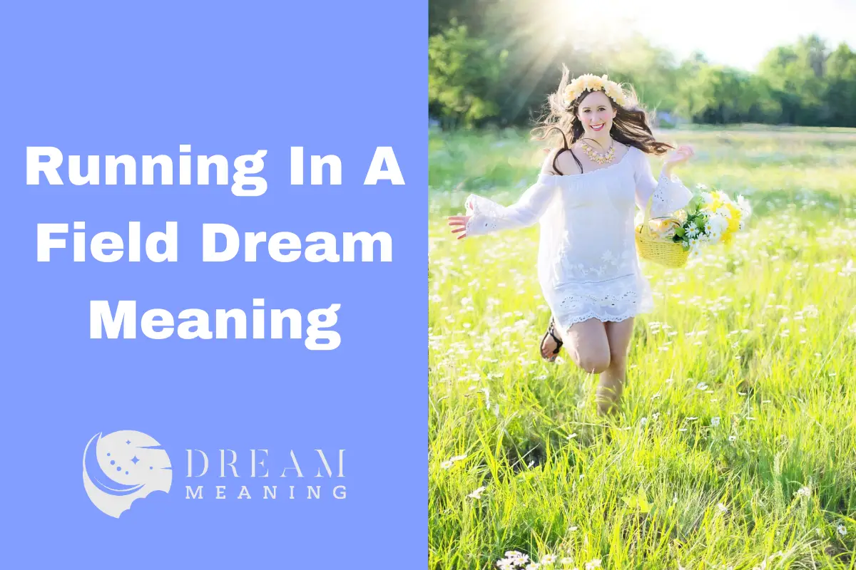 Running In A Field Dream Meaning