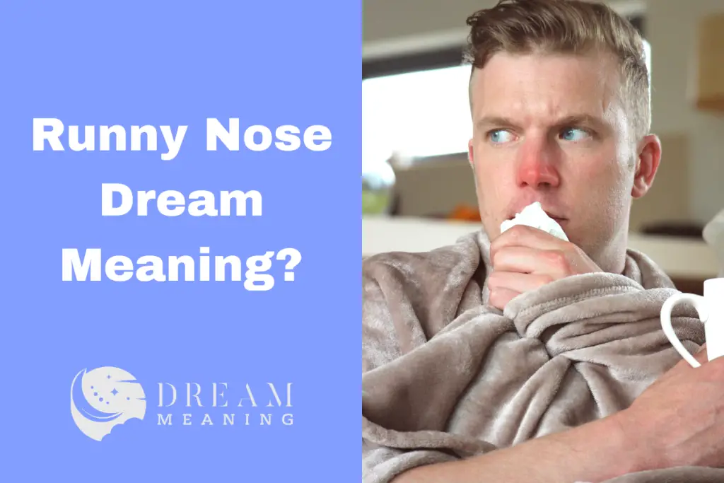 dreaming-of-a-runny-nose-here-s-what-it-really-means-the-dream-meaning