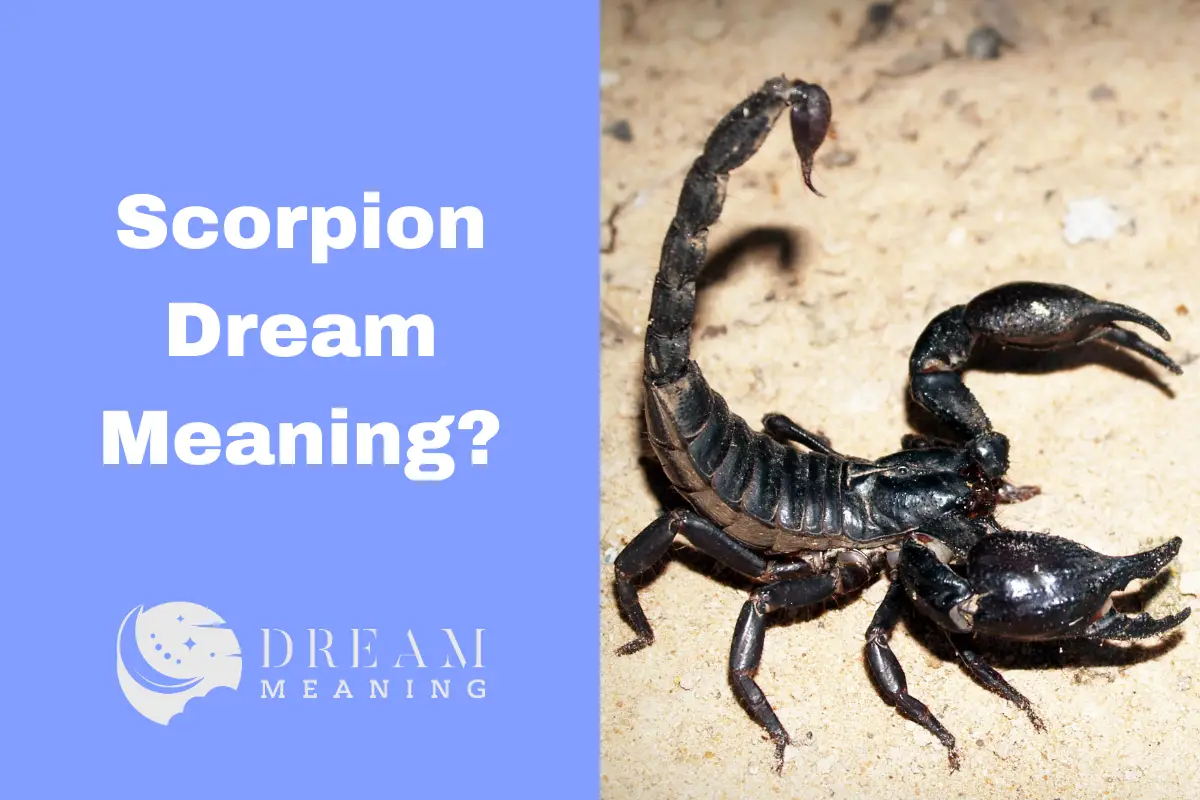 scorpion-dream-meaning-what-does-it-mean-when-you-dream-about