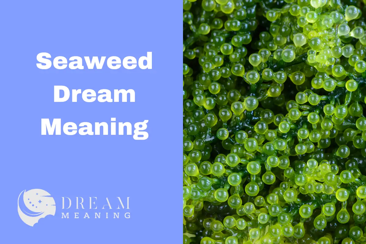 dream-meaning-of-seaweed-uncovering-its-symbolic-significance-the