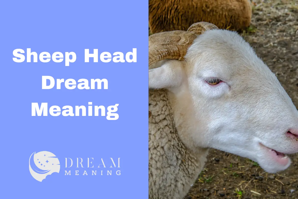 Sheep Head Dream Meaning Unlock The Unseen Messages Of Your Dreams The Dream Meaning