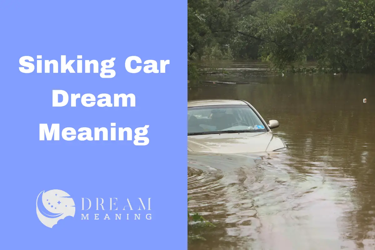 Sinking Car Dream Meaning