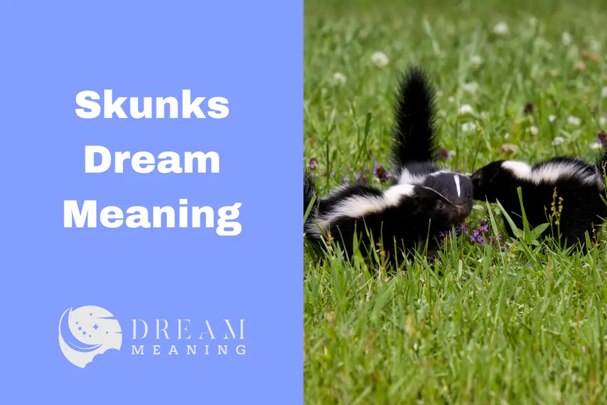 Dreaming About Skunks? Uncover The Hidden Meaning Behind It The Dream