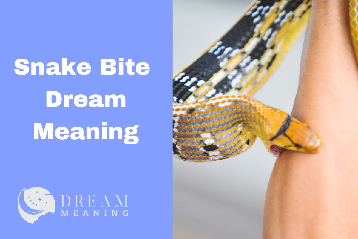 snake-bite-dream-meaning-uncovering-the-hidden-messages-in-your-dreams