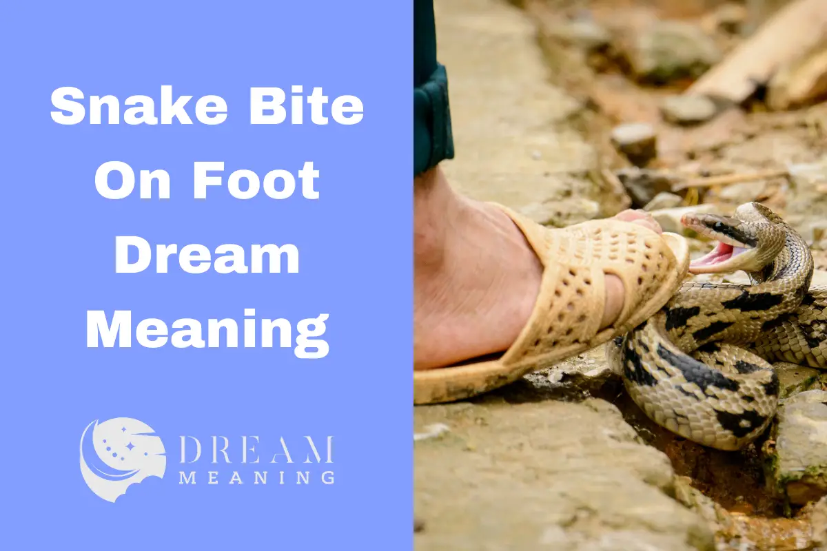 dreaming-of-a-snake-bite-on-your-foot-here-s-what-it-means-the-dream