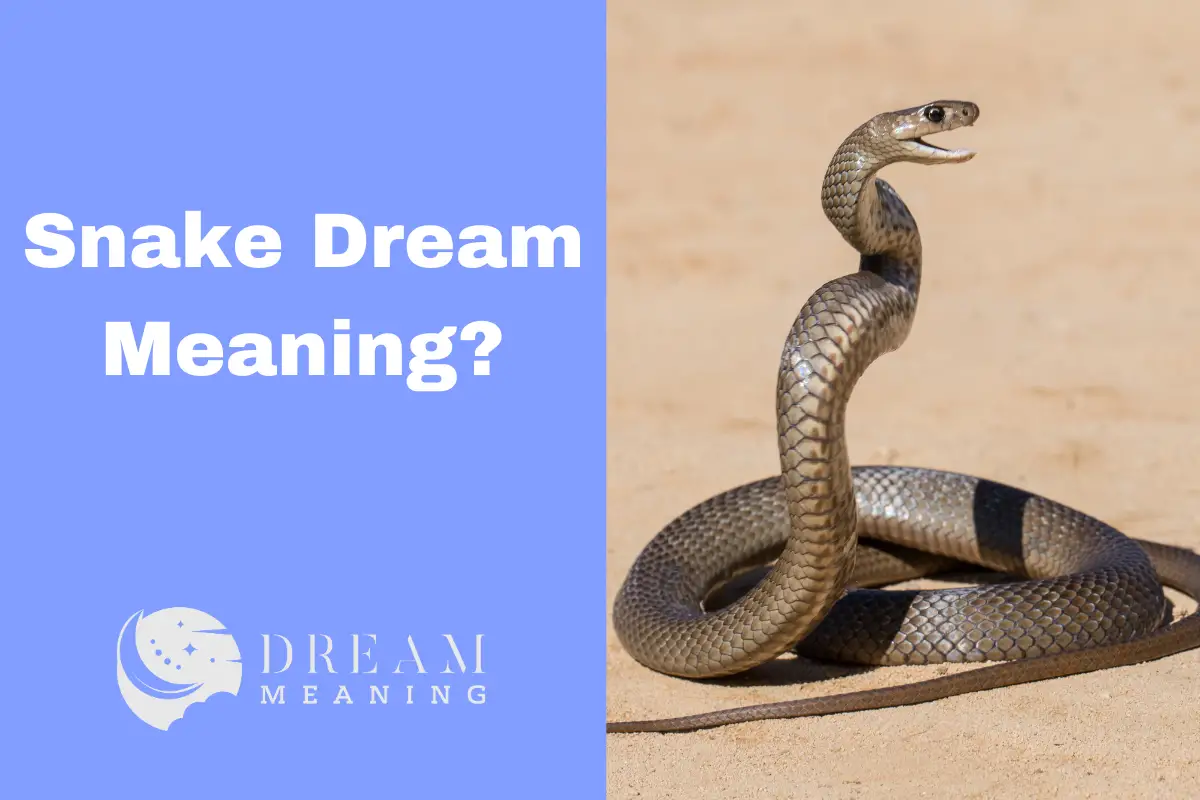 dream of snake meaning