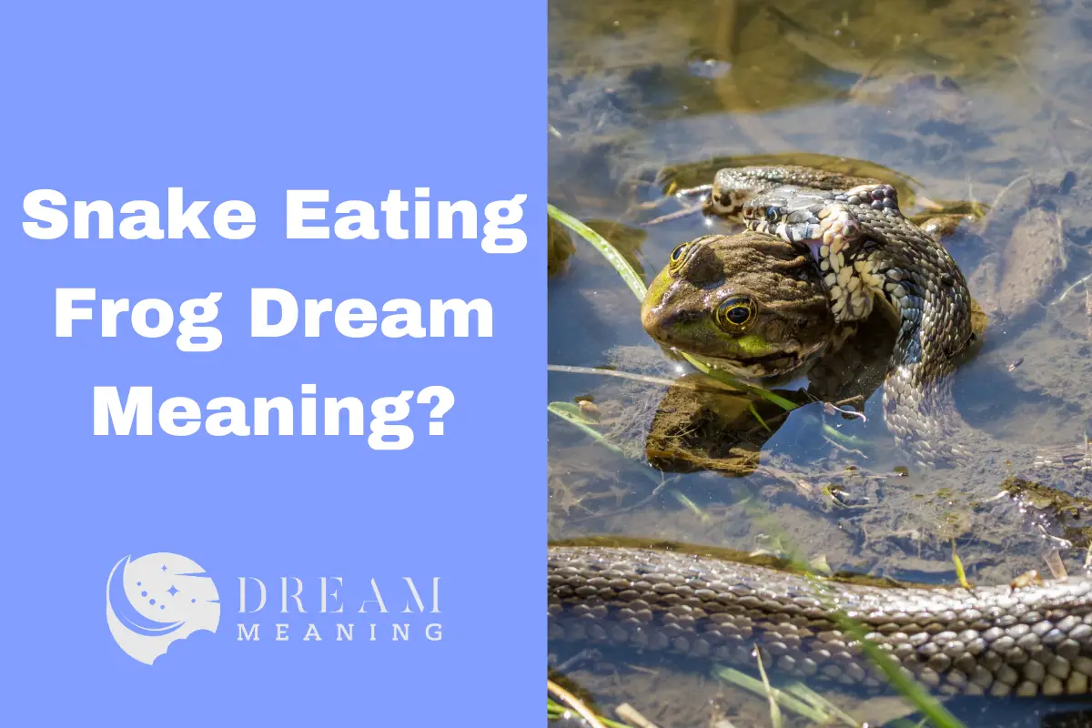 Snake Eating Frog Dream Meaning