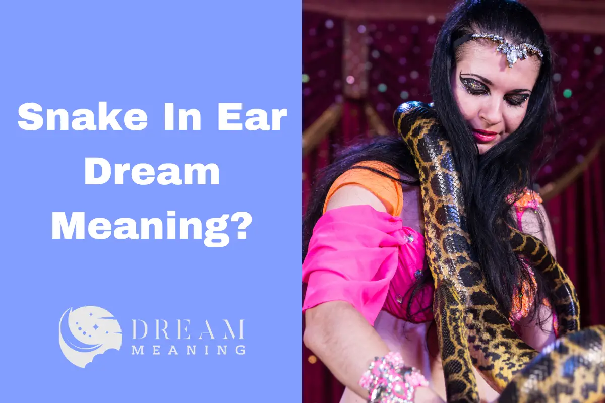 Snake In Ear Dream Meaning: Discover The Interpretation Of This Common