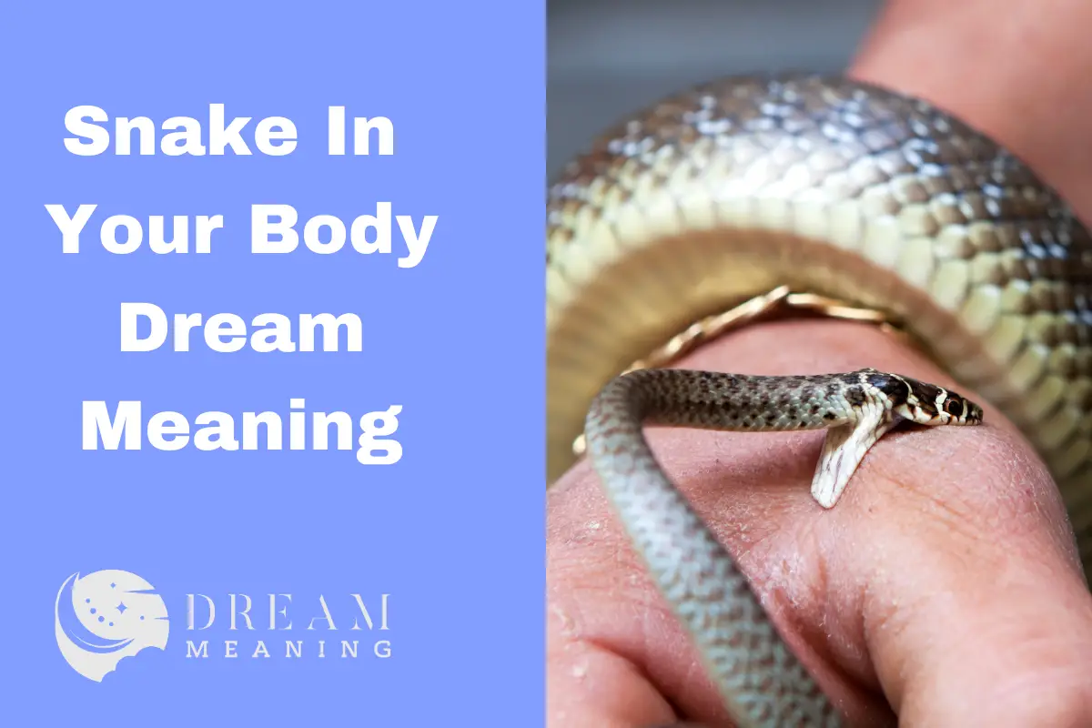 snake-in-your-body-dream-meaning-what-does-it-symbolize-the-dream