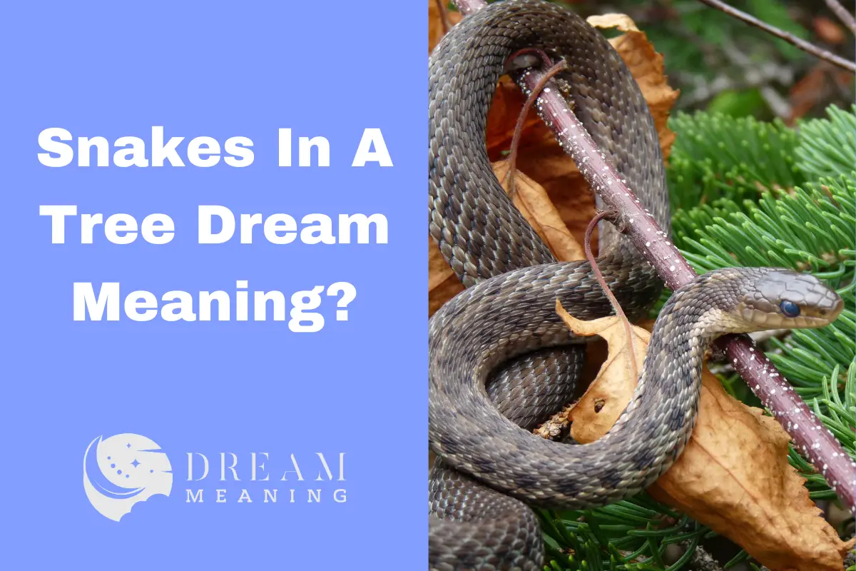 Unlocking The Meaning Of Snakes In A Tree Dreams What It Could Mean