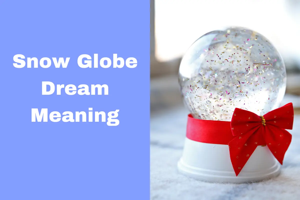 Snow Globe Dream Meaning