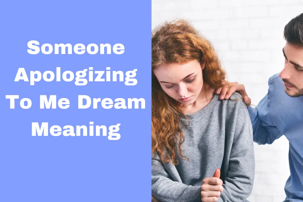 Someone Apologizing To Me Dream Meaning