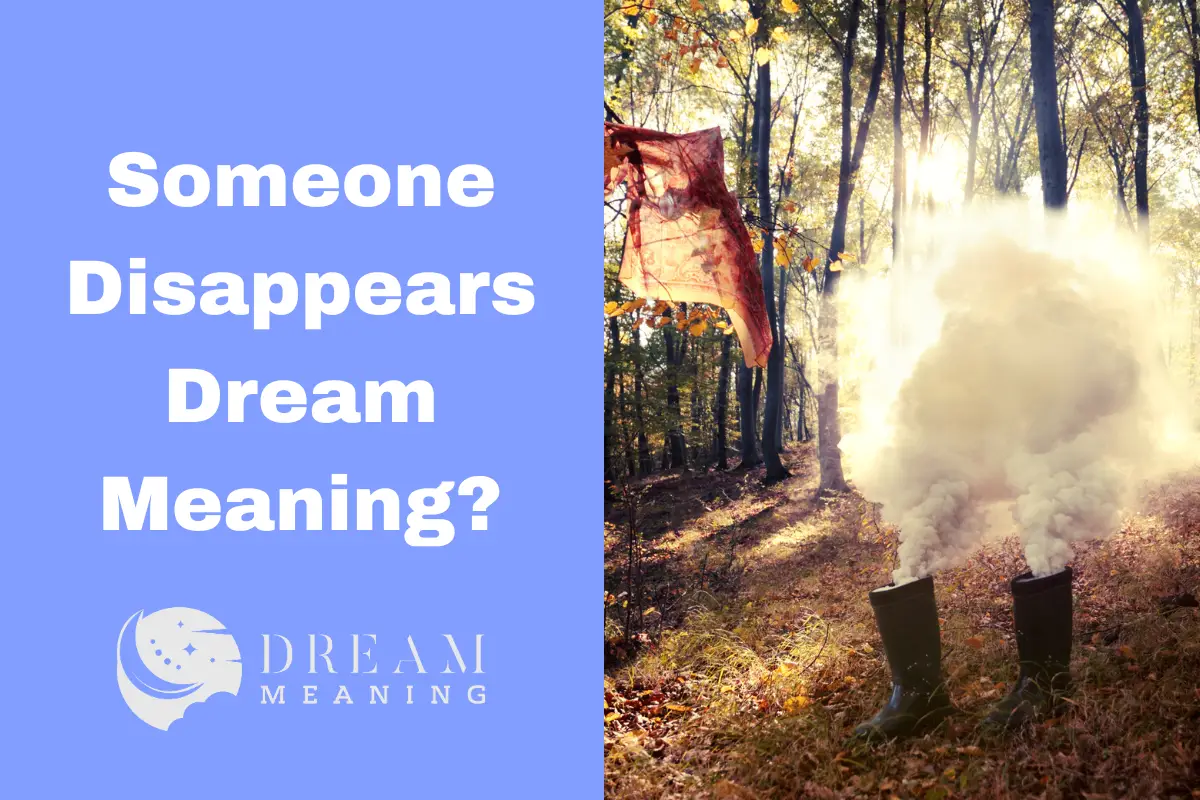 Someone Disappears Dream Meaning