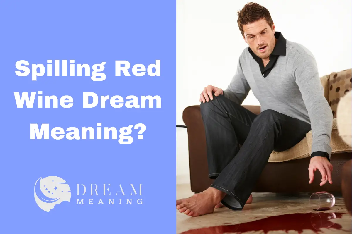 Spilling Red Wine Dream Meaning