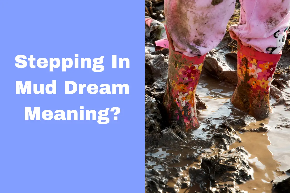Dreaming Of Stepping In Mud? Here's The Meaning Behind It The Dream