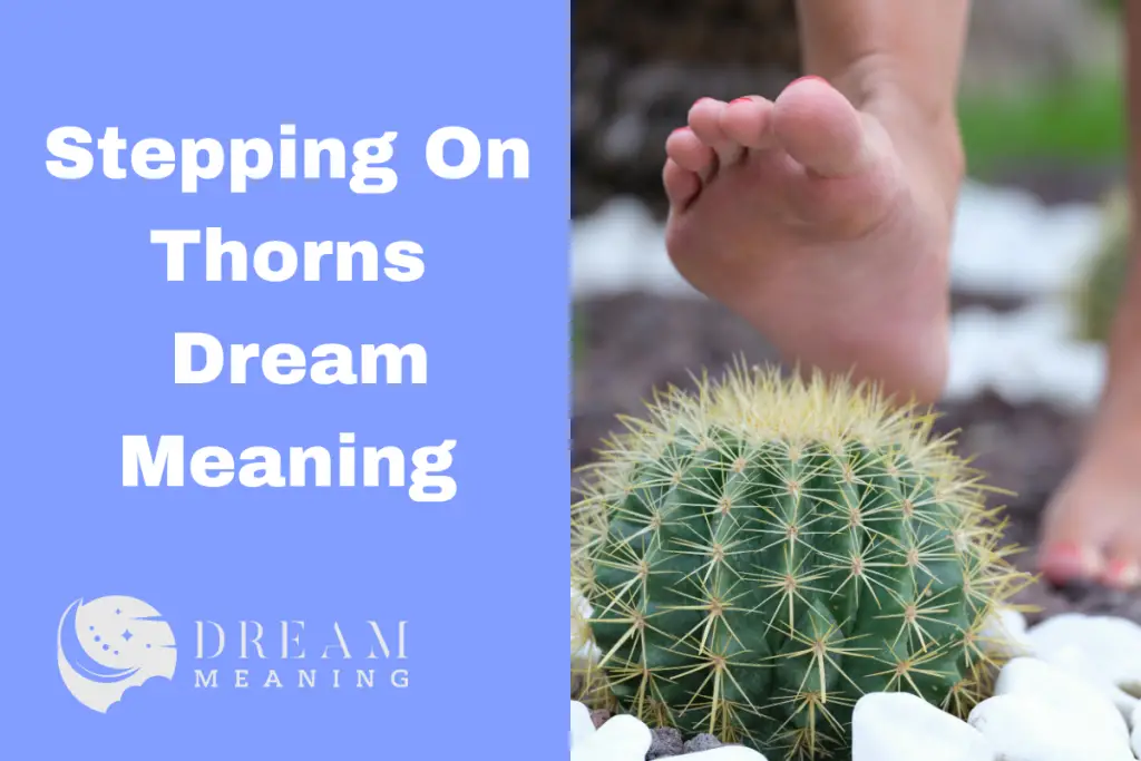 what-does-it-mean-to-dream-of-stepping-on-thorns-a-spiritual-guide