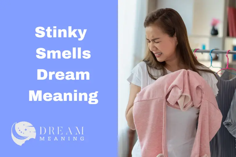 dream-meaning-of-stinky-smells-what-could-it-mean-the-dream-meaning