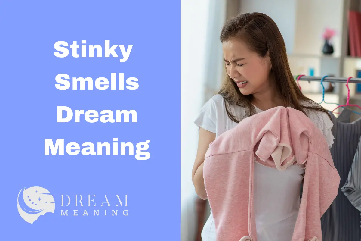Dream Meaning Of Stinky Smells What Could It Mean? The Dream Meaning