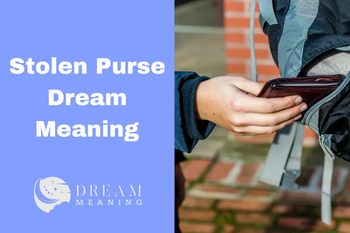 Stolen Purse Dream Meaning