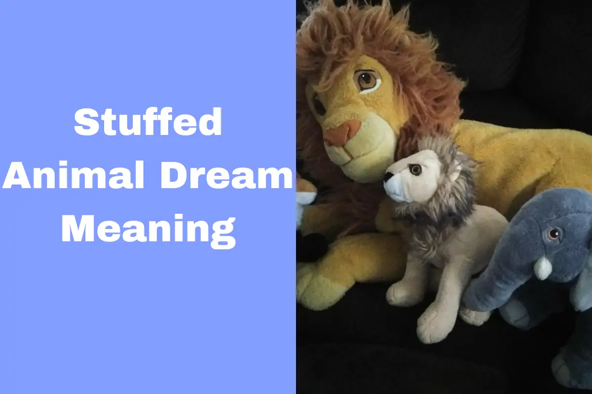 Stuffed Animal Dream Meaning