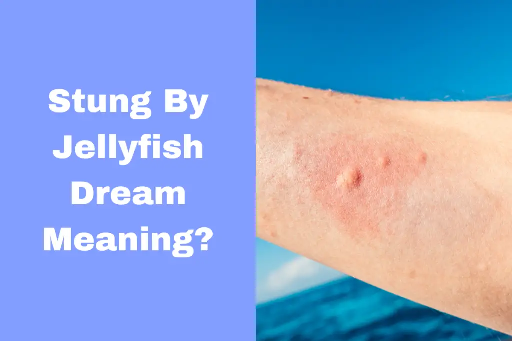 dream-meaning-of-being-stung-by-a-jellyfish-what-does-it-mean-the