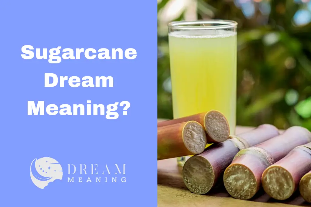 sugarcane-dream-meaning-what-does-it-mean-when-you-dream-about