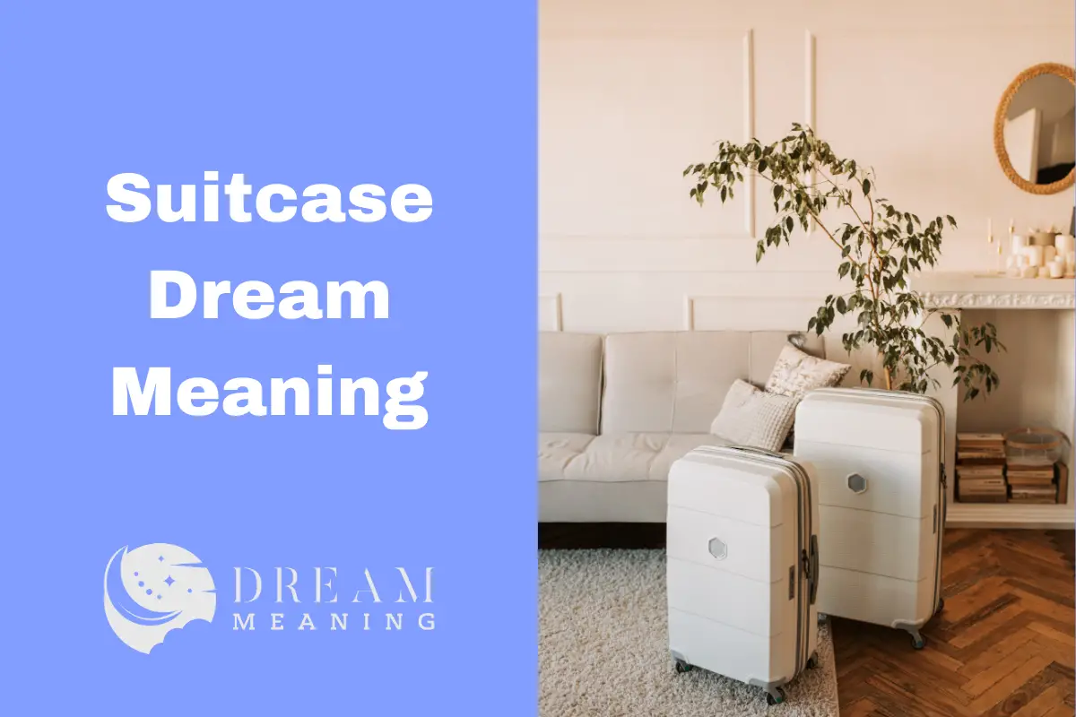 uncovering-the-suitcase-dream-meaning-what-does-it-mean-for-you-the