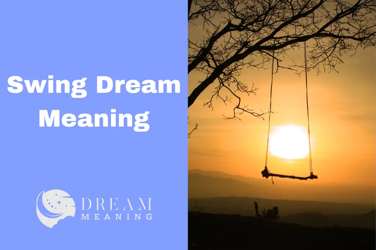 Swing Dream Meaning