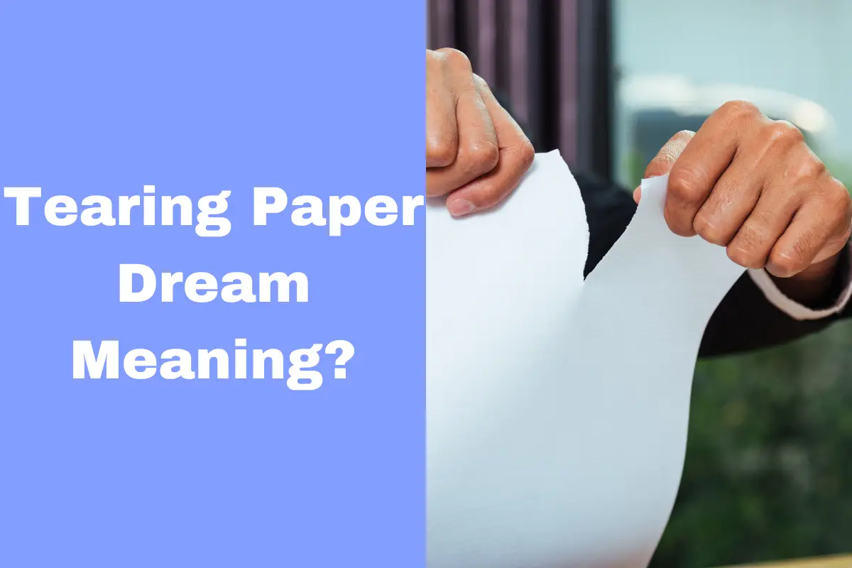 dream-meaning-of-tearing-paper-what-does-it-symbolize-the-dream-meaning