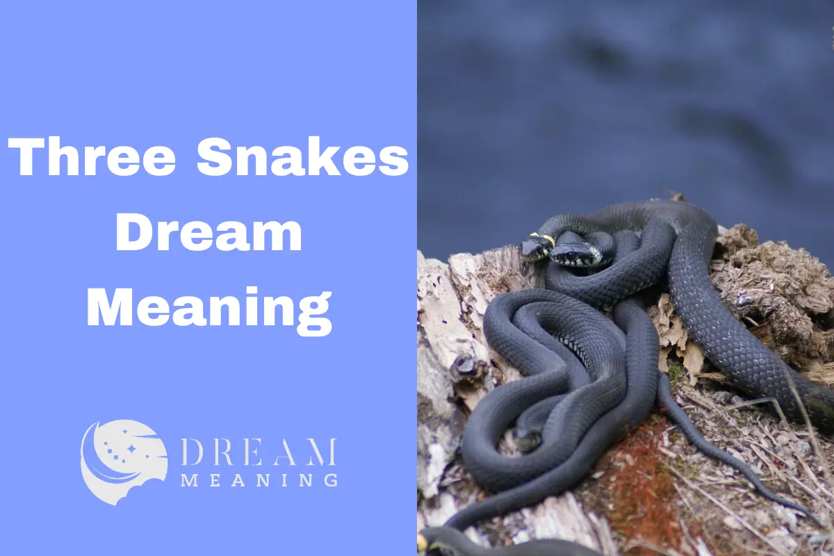 no-need-to-fear-most-snakes-in-wisconsin