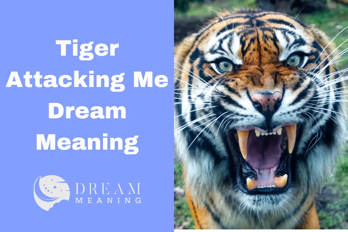  A wide-eyed tiger with an open mouth full of sharp teeth and an aggressive stance is in the foreground, with a blue background with white text reading 'Tiger Attacking Me Dream Meaning'.