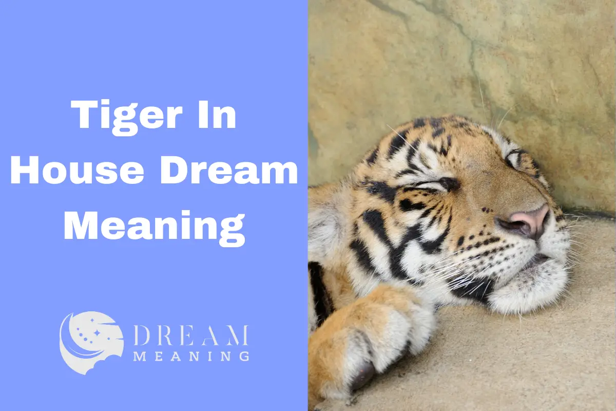 tiger-in-house-dream-meaning-uncovering-the-hidden-symbolism-the