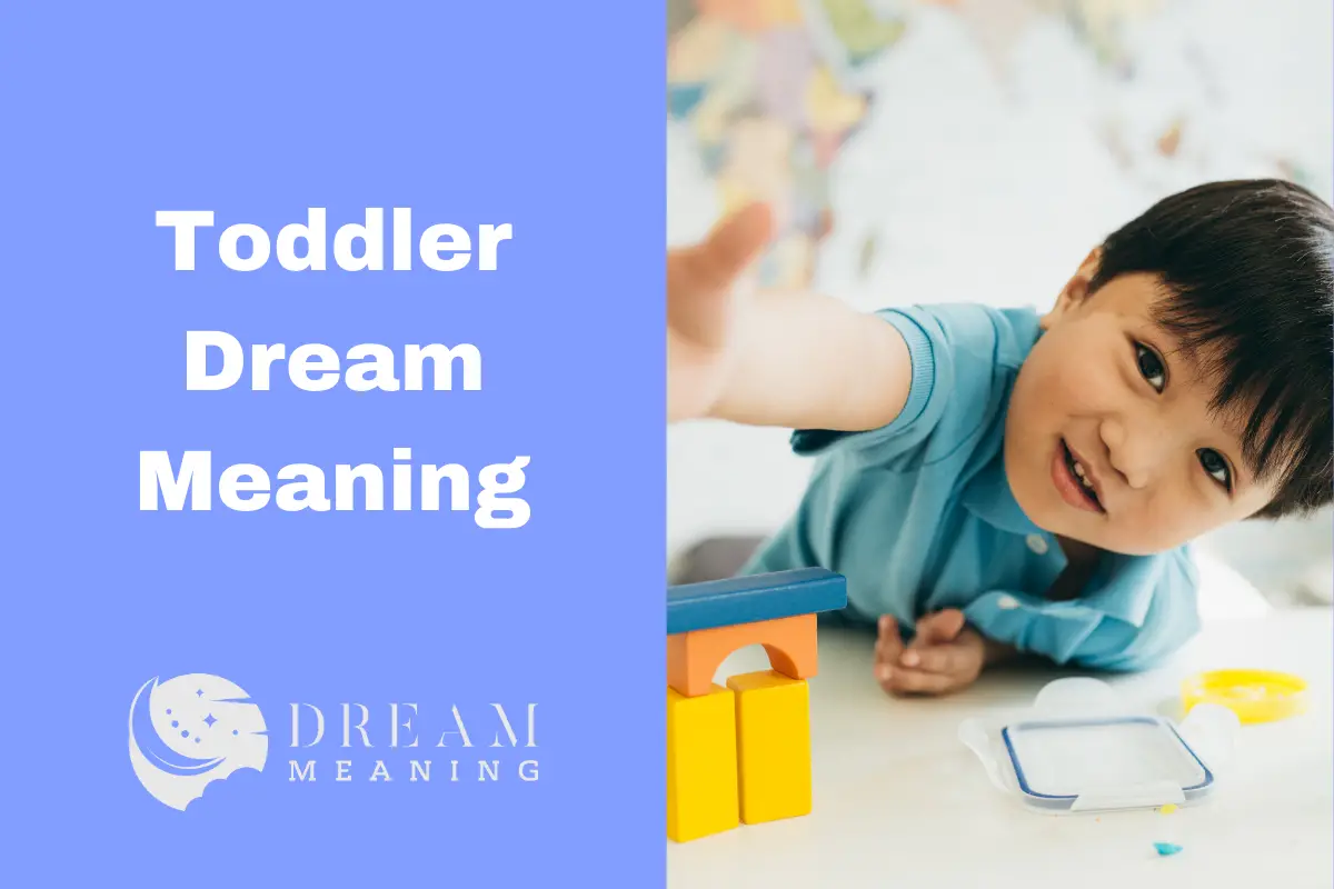 Toddler Dream Meaning