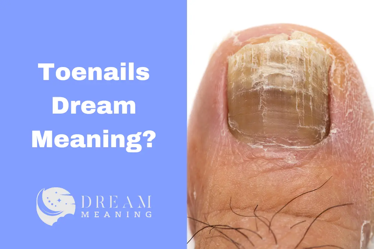 What Does It Mean When You Dream About Toenails? A Dream Interpretation