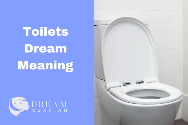 Dreaming About Toilets Uncover The Hidden Meaning Behind It The