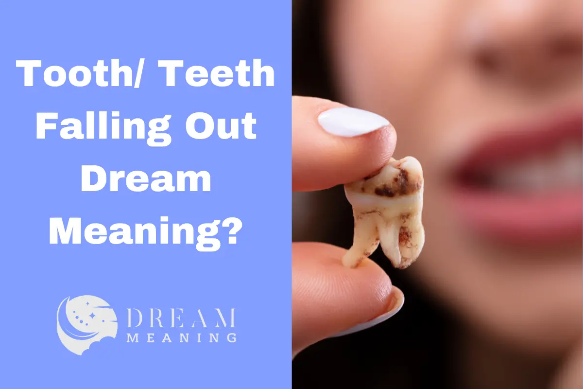 dream-meaning-of-teeth-falling-out-what-does-it-mean-the-dream-meaning