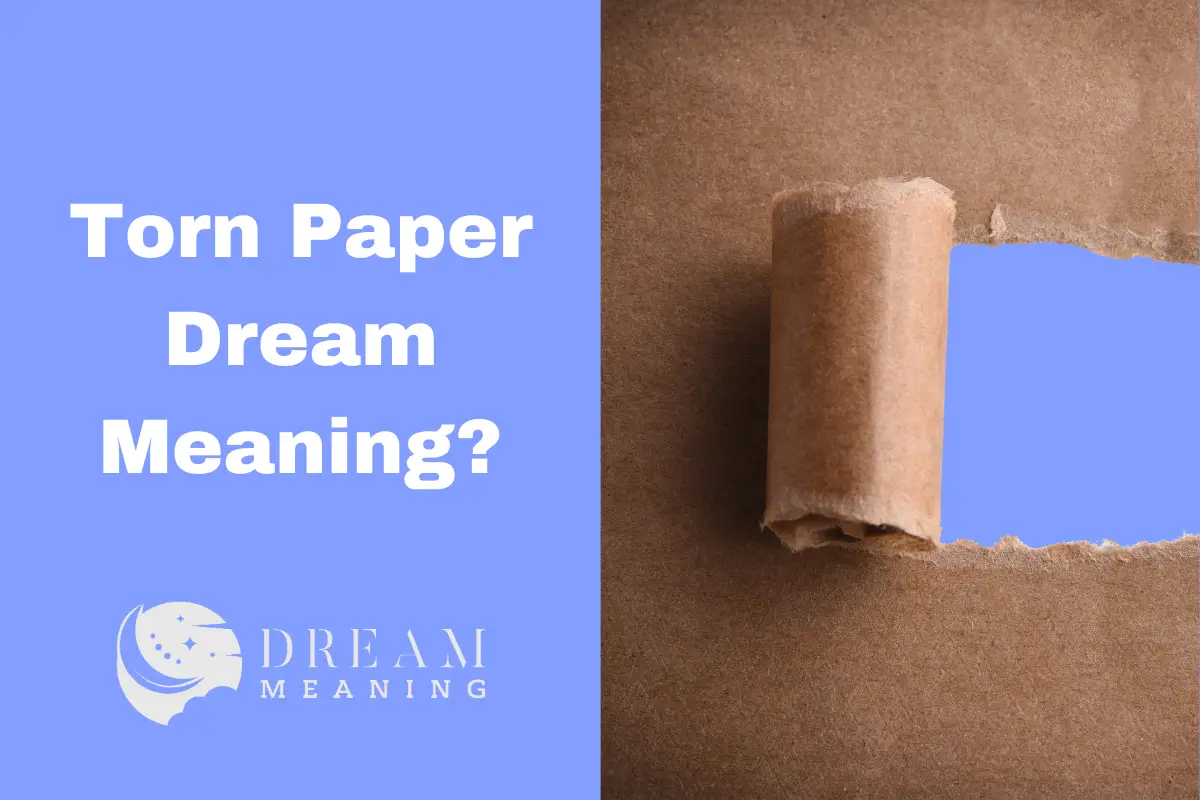 Torn Paper Dream Meaning What Does It Symbolize? The Dream Meaning
