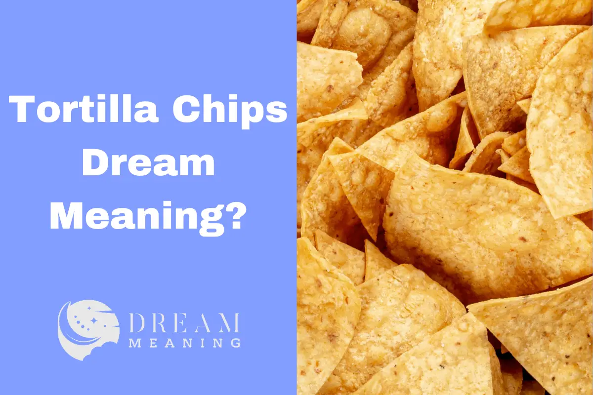 what-does-it-mean-when-you-dream-about-tortilla-chips-a-breakdown-of