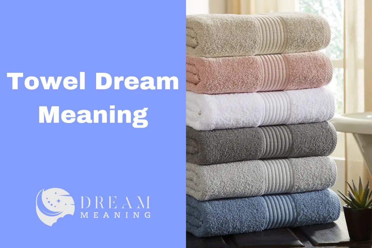 Towel Dream Meaning A Guide To Decoding The Symbolic Significance The Dream Meaning