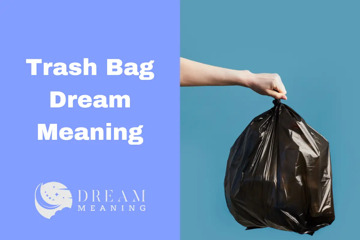 trash-bag-dream-meaning-what-does-it-really-mean-the-dream-meaning