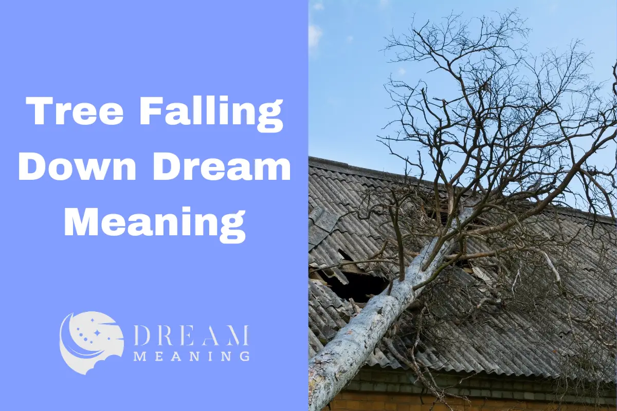 Fall Down Dream Meaning