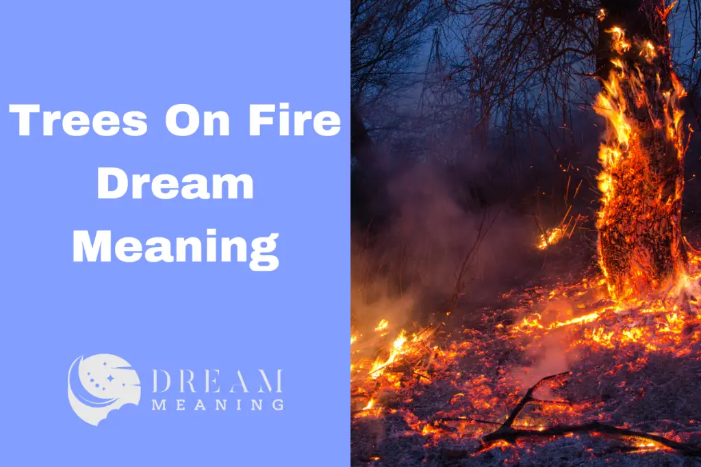 dream-meaning-of-trees-on-fire-unveiling-hidden-messages-in-your-dream