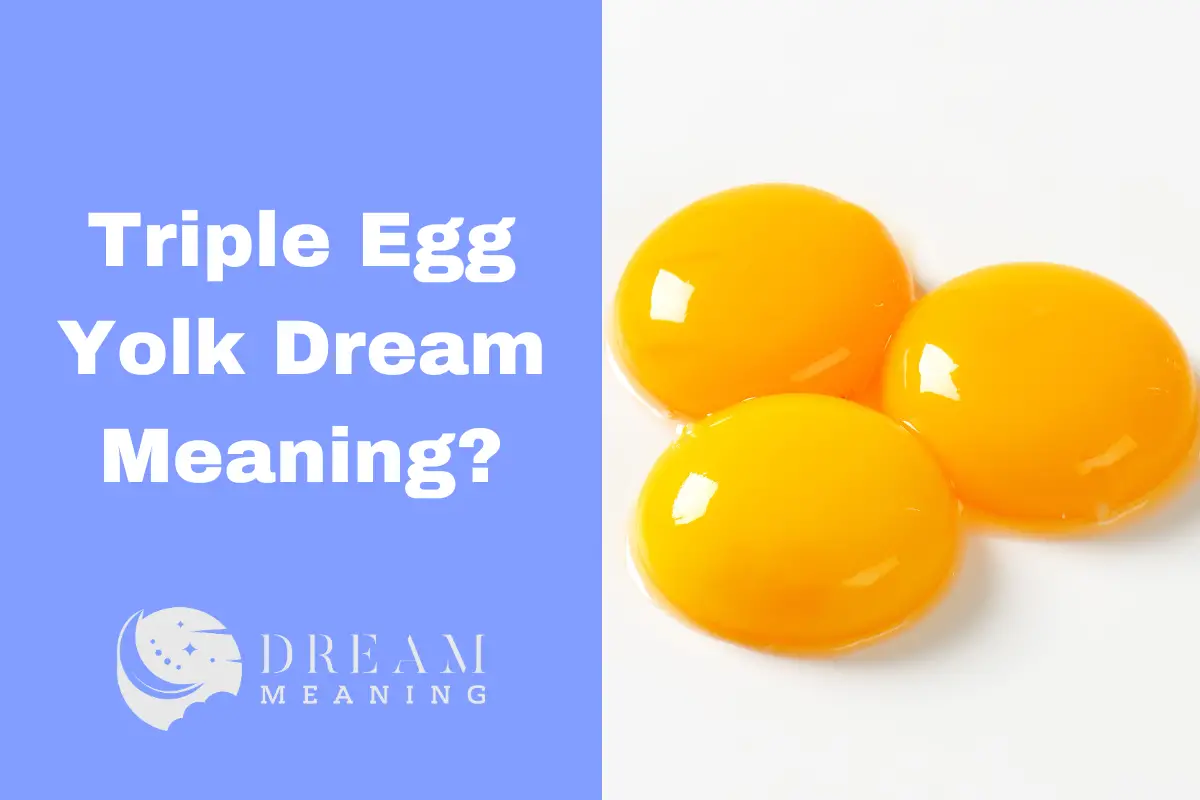 The Triple Egg Yolk Dream Meaning What Is It Trying To Tell You? The
