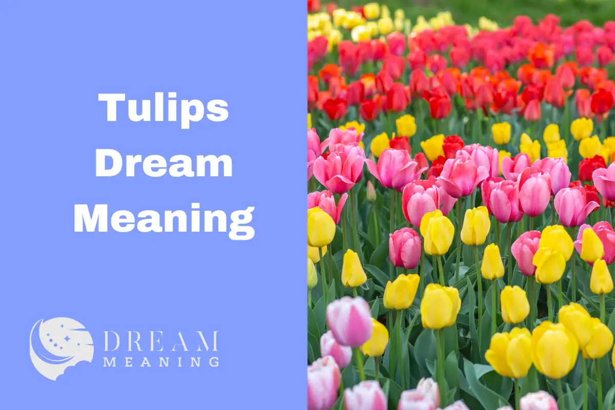 what-does-white-tulips-dream-meaning-symbolize-a-guide-to