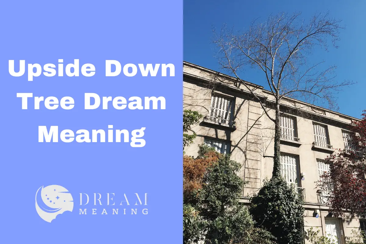 Unlock The Meaning Behind Your Upside Down Tree Dream & What It Reveals The Dream Meaning
